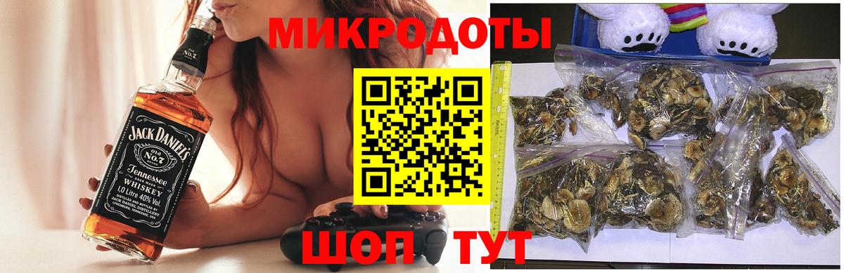 Арсеньев  Галлюциногенные грибы Psilocybine cubensis  Вход с VPN 