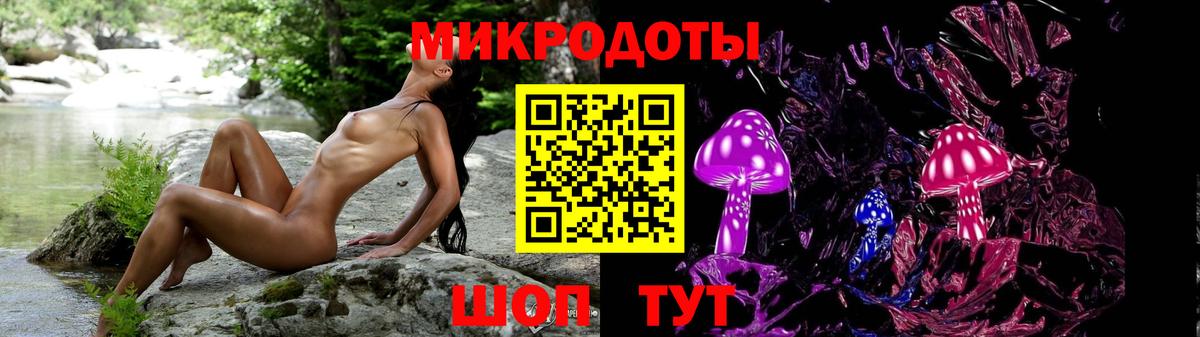 Псилоцибиновые грибы прущие грибы Арсеньев